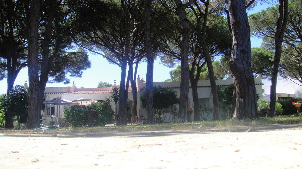 Casa La Felicidad Ξενοδοχείο Chiclana de la Frontera Εξωτερικό φωτογραφία